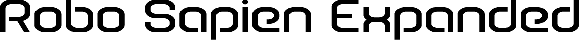 Robo Sapien Expanded
