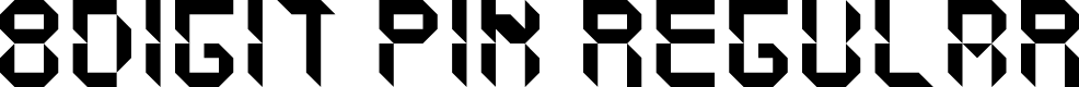 8Digit Pin Regular