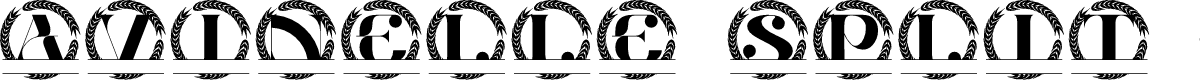 Avinelle Split Monogram