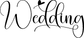 Wedding