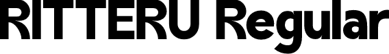RITTERU Regular