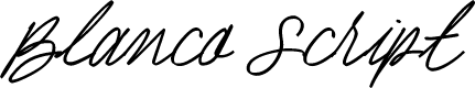 BlancoScriptDemo
