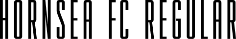 HORNSEA FC REGULAR