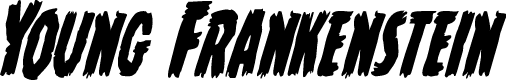 Young Frankenstein Cond Ital