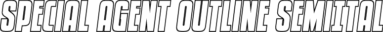 Special Agent Outline SemiItal