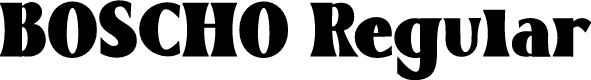 BOSCHO Regular