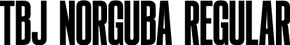 TBJ Norguba Regular