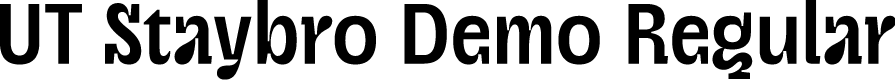UT Staybro Demo Regular