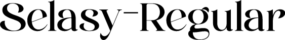Selasy-Regular