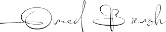 Omed Brush Regular