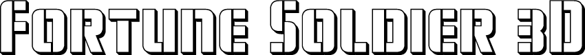 Fortune Soldier 3D