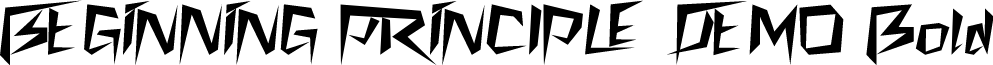 BEGINNING PRINCIPLE DEMO Bold