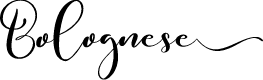 Bolognese