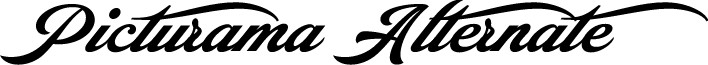 Picturama Alternate PERSONAL Regular