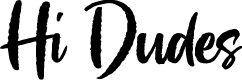 Hi Dudes