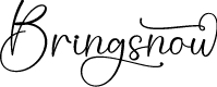 Bringsnow