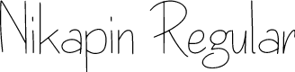 Nikapin Personal Use Regular