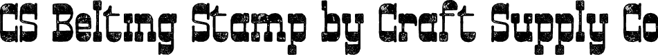 CS Belting Stamp Regular Demo