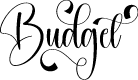 Budget
