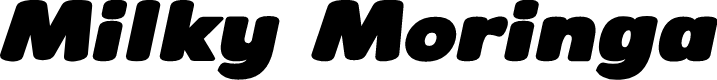 Milky Moringa Bold Italic