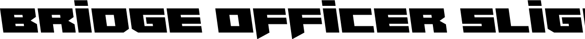 Bridge OFFicer Slight Leftalic