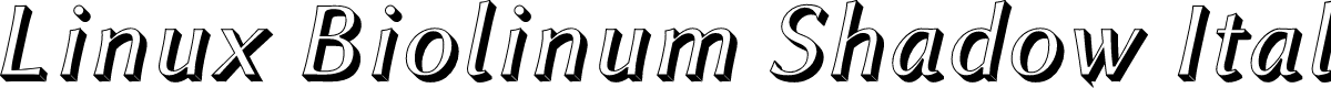 Linux Biolinum Shadow Italic