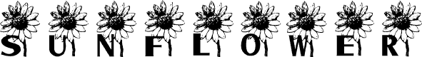 AEZ sunflower letters