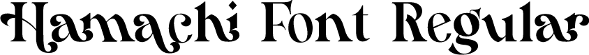 Hamachi Font Regular