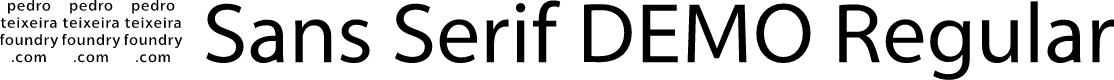 001 Sans Serif DEMO Regular