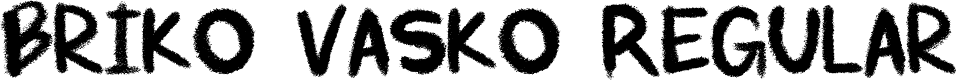 Briko Vasko Regular