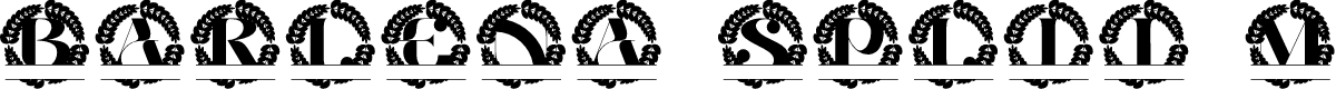 Barlena Split Monogram