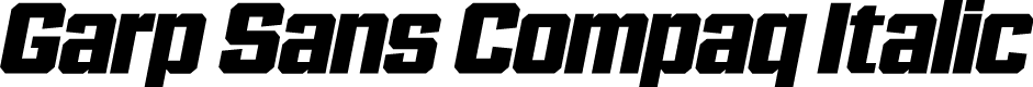Garp Sans Compaq Italic