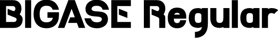 BIGASE Regular