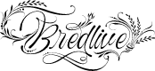 Bredlive Regular