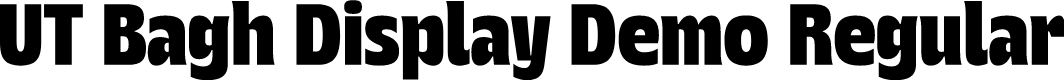 UT Bagh Display Demo Regular