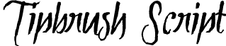 Tipbrush Script