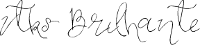 Vtks Brilhante