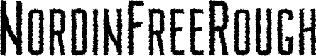 NordinFree-Rough