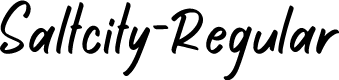 Saltcity-Regular