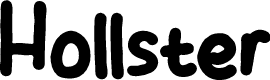 Hollster