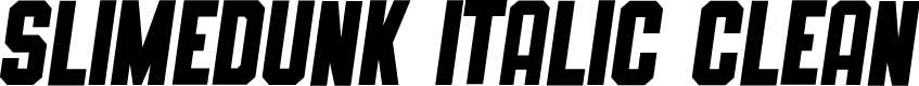 SLIMEDUNK ITALIC CLEAN