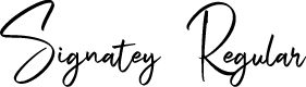 Signatey Regular