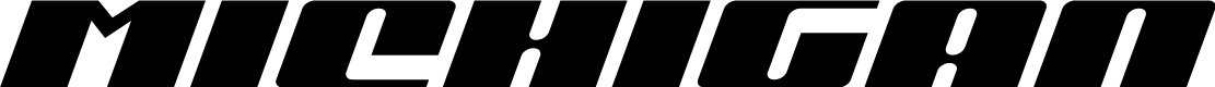 Michigan Expanded Italic