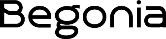 Begonia