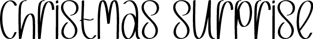 Christmas Surprise