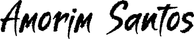 Amorim Santos