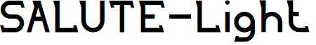 SALUTE-Light