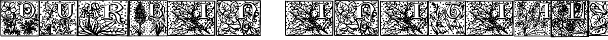 Durbin Initials