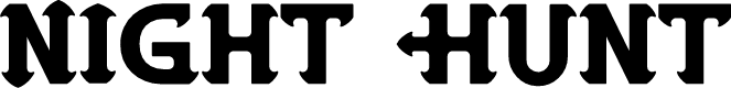 Night Hunt