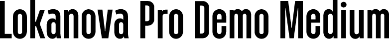Lokanova Pro Demo Medium